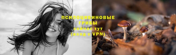 молекула духа Аркадак