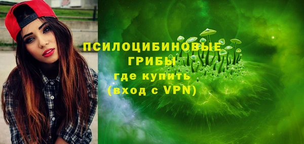 молекула духа Аркадак