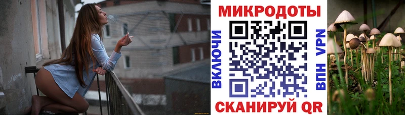 Псилоцибиновые грибы GOLDEN TEACHER  где можно купить наркотик  Сальск 