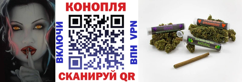 Шишки марихуана White Widow  наркота  Сальск 